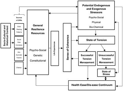 Salutogenic Environmental Health Model—proposing an integrative and interdisciplinary lens on the genesis of health